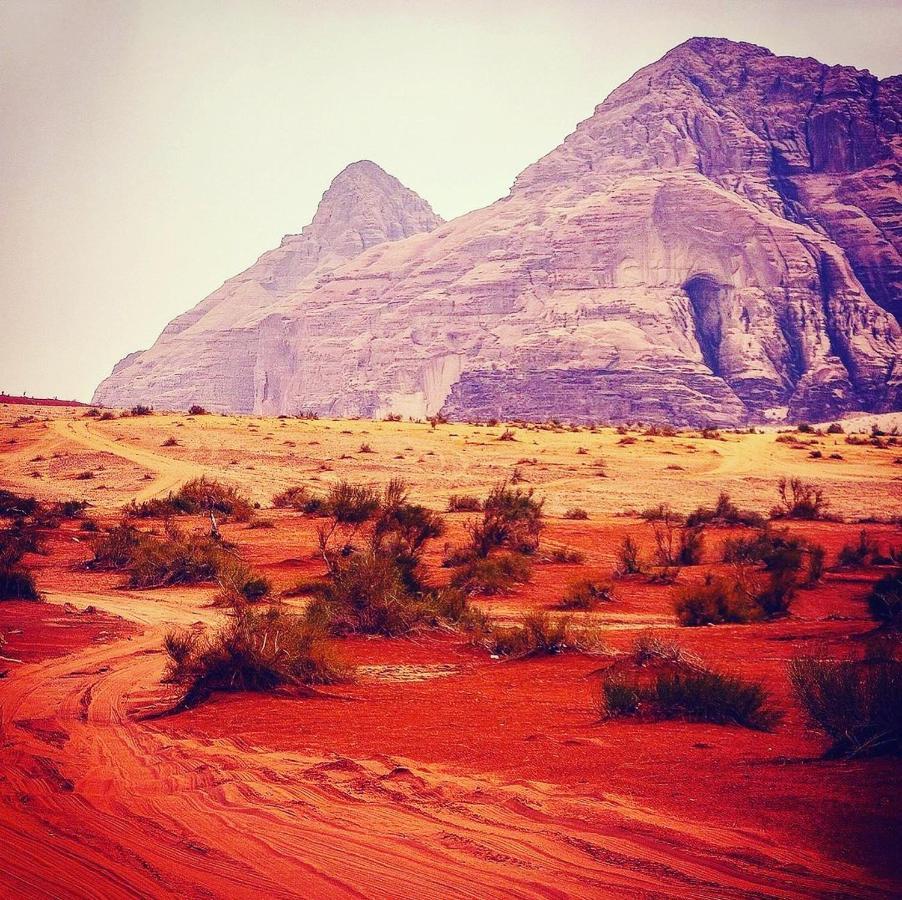 Hotel Maraheb Luxury Camp Wadi Rum Esterno foto